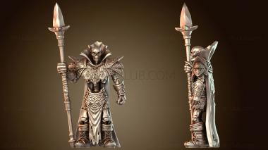 3D модель Форма нежити мага крови из монастыря Алого ордена (STL)