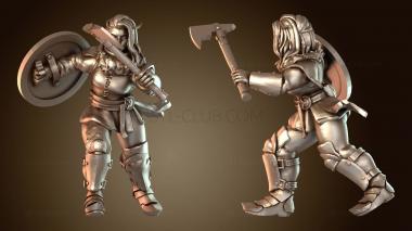 3D модель Щит Янг (STL)