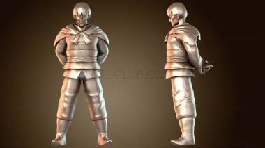 3D модель Небесный Дракон и Капитан Желтый Ветеран (STL)