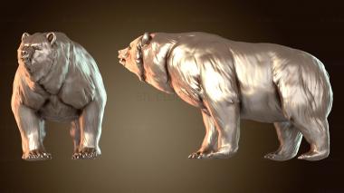 3D модель Солдатский дозор дикой природы (STL)