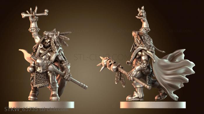 Military Отряд Военный Шаман Равнина