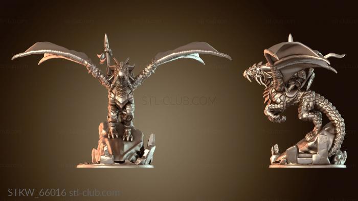 Вариант стражи Штормдрейка i