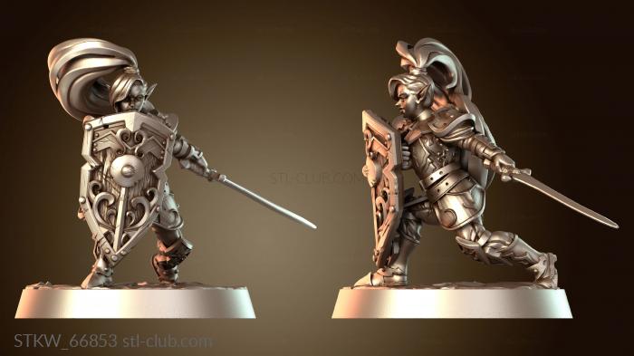 Military Грандиозный турнир среди женщин-воительниц WB