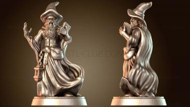 3D модель Герои Маги Волшебник в шляпе (STL)