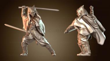 3D модель Мастерство Премьер-Ронина (STL)