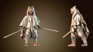 3D модель Верный Ронин (STL)