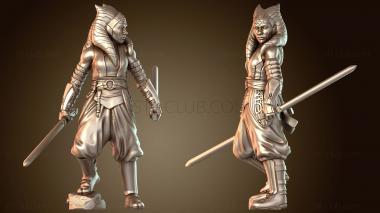 3D модель Ронин т (STL)