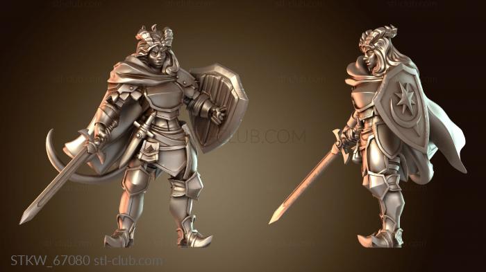 Military Тифлинг Паладин