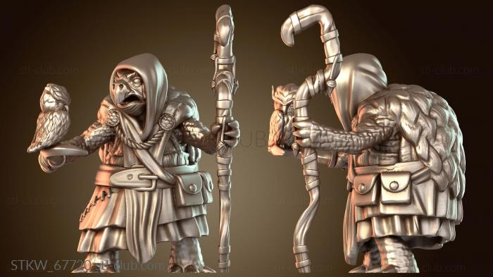 Друид племени Черепахового народа