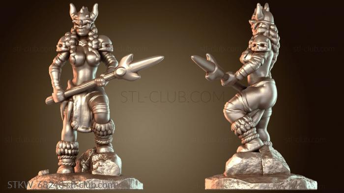 Викинг в экипировке