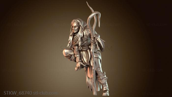 Кодекс Воина Друида