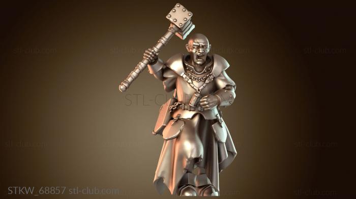 Воин Жрец Страж