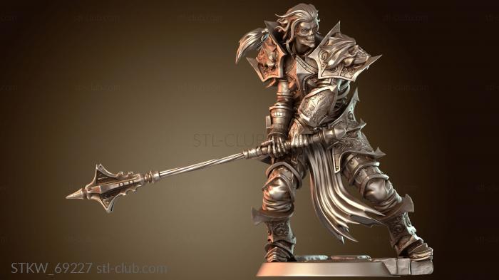 Military Западный подрядчик-надзиратель