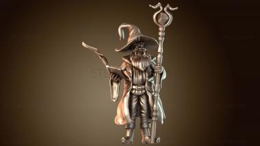 3D модель Волшебник-иллюзионист (STL)