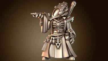 3D модель Классический наряд волшебника (STL)