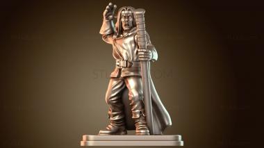 3D модель Волшебный тайный чехол (STL)