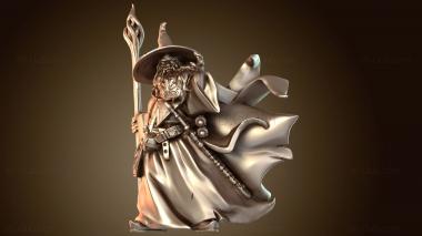 3D модель Волшебник-исследователь-авантюрист (STL)