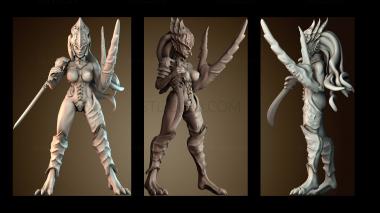 3D модель STKW_70053 (STL)