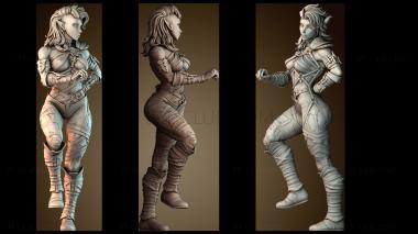 3D модель STKW_70339 (STL)