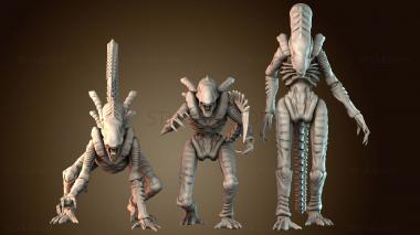 3D модель STKW_70613 (STL)