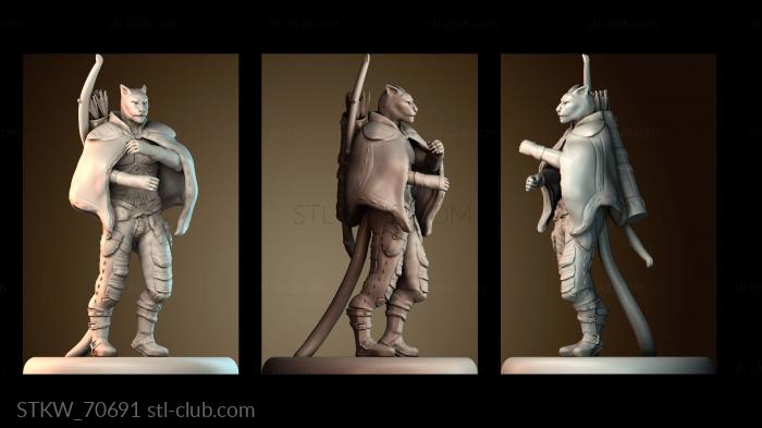 Рейнджер кошачьего народа