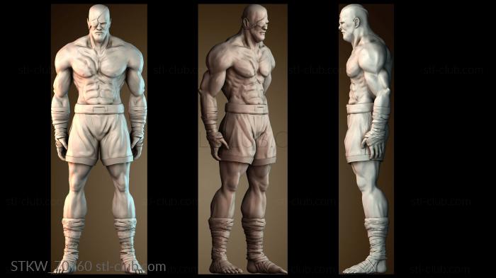 Military Street Fighter Sagat