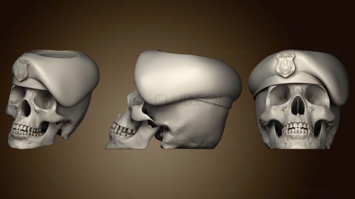 3D мадэль Помощник по Кранео (STL)