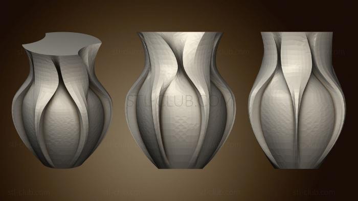 3D model Curvy Vase (1) (STL)