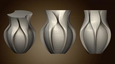 3D model Curvy Vase (1) (STL)