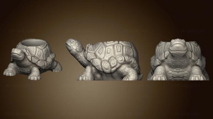 3D model Mate tortuga 3 (STL)