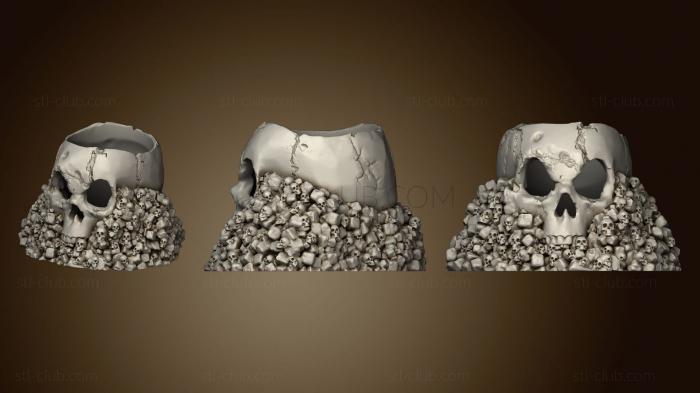 3D model Skull Holder (STL)