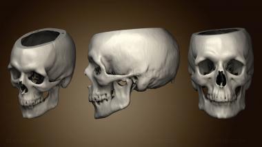 3D model Skull Male 48yo (STL)