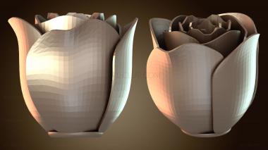 3D модель Юбилейная роза открыта (STL)