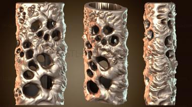 3D модель Чехол Bic и зажигалка Ember (STL)