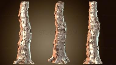 3D модель Дупло дерева (STL)