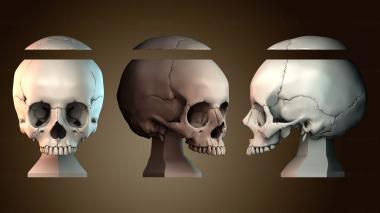 3D model VZ_2669 (STL)